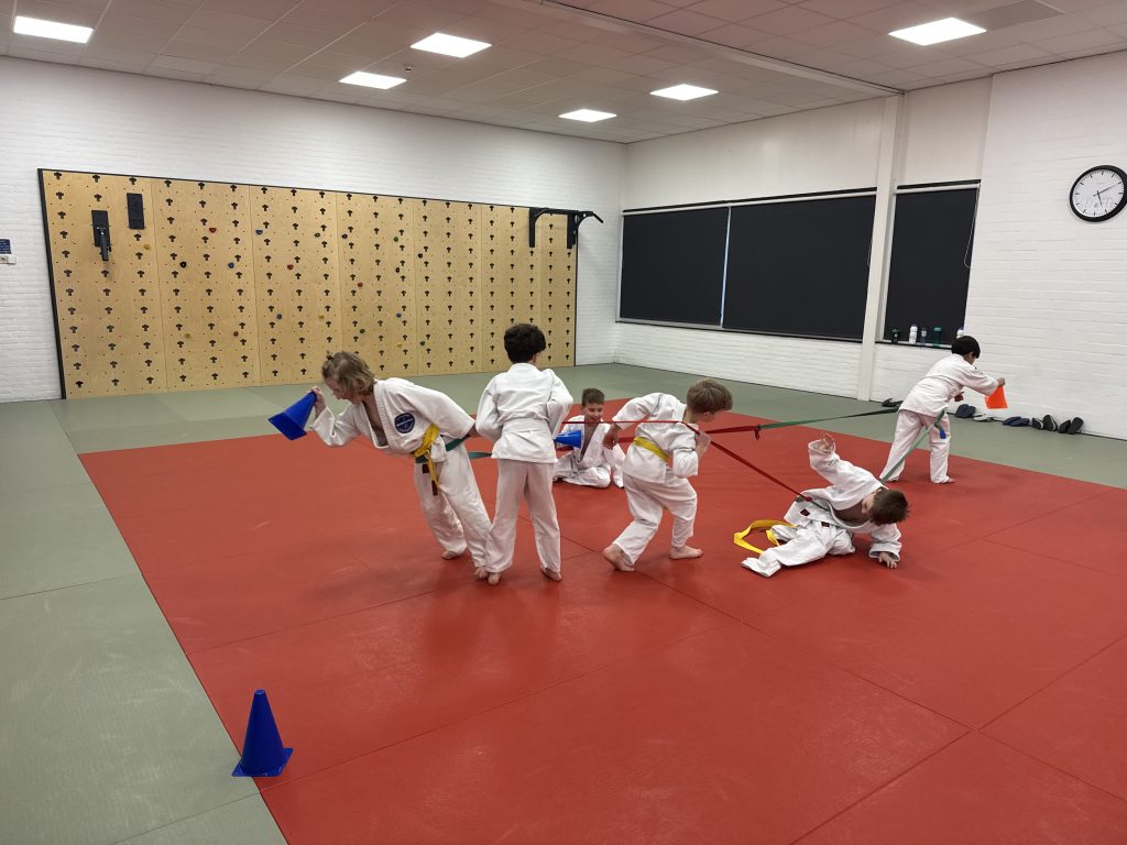 Judolessen voor kinderen van 6–11 jaar